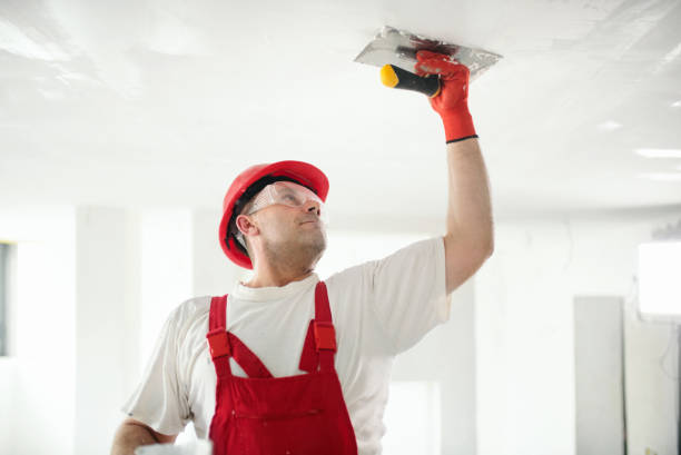 Best Eco-Friendly and Low-VOC Painting  in Allendale, NJ